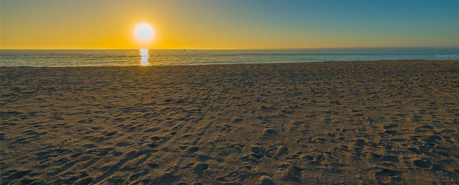 Photo #26