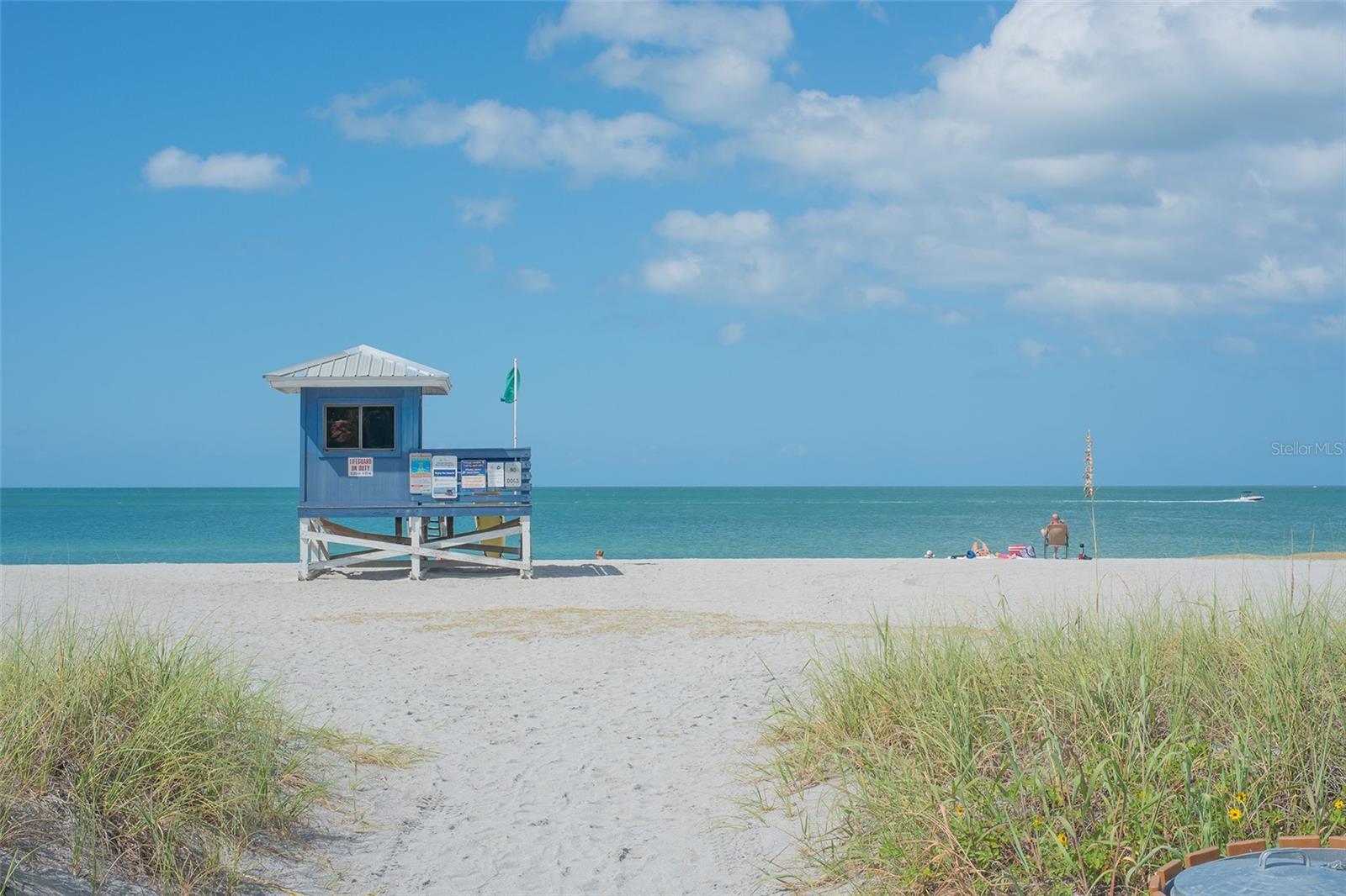 Photo #31