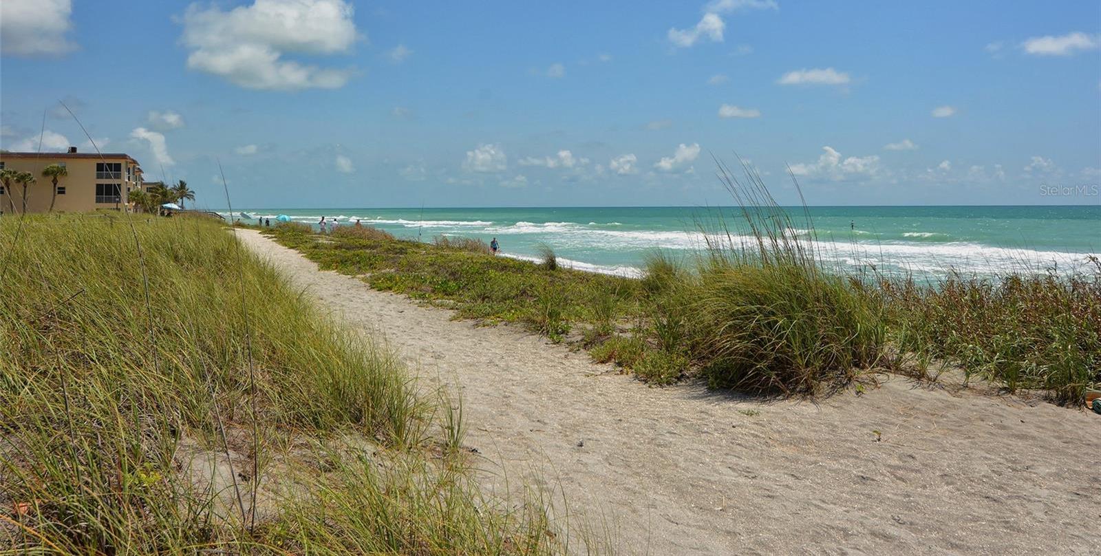 Photo #36