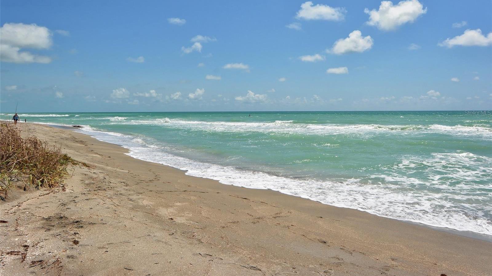 Photo #37
