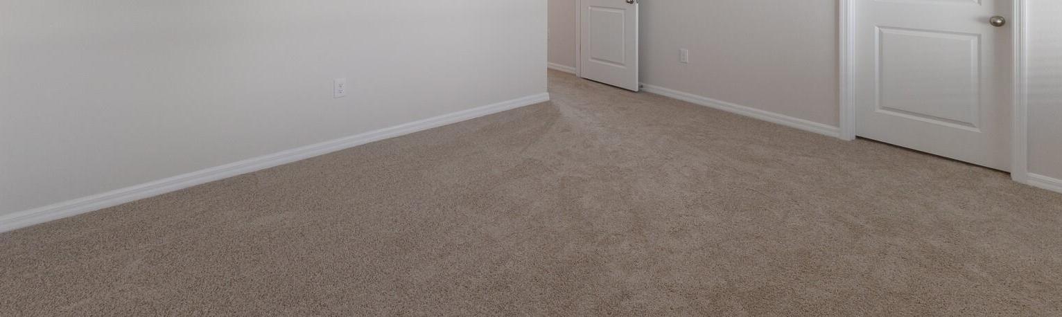 Photo #22