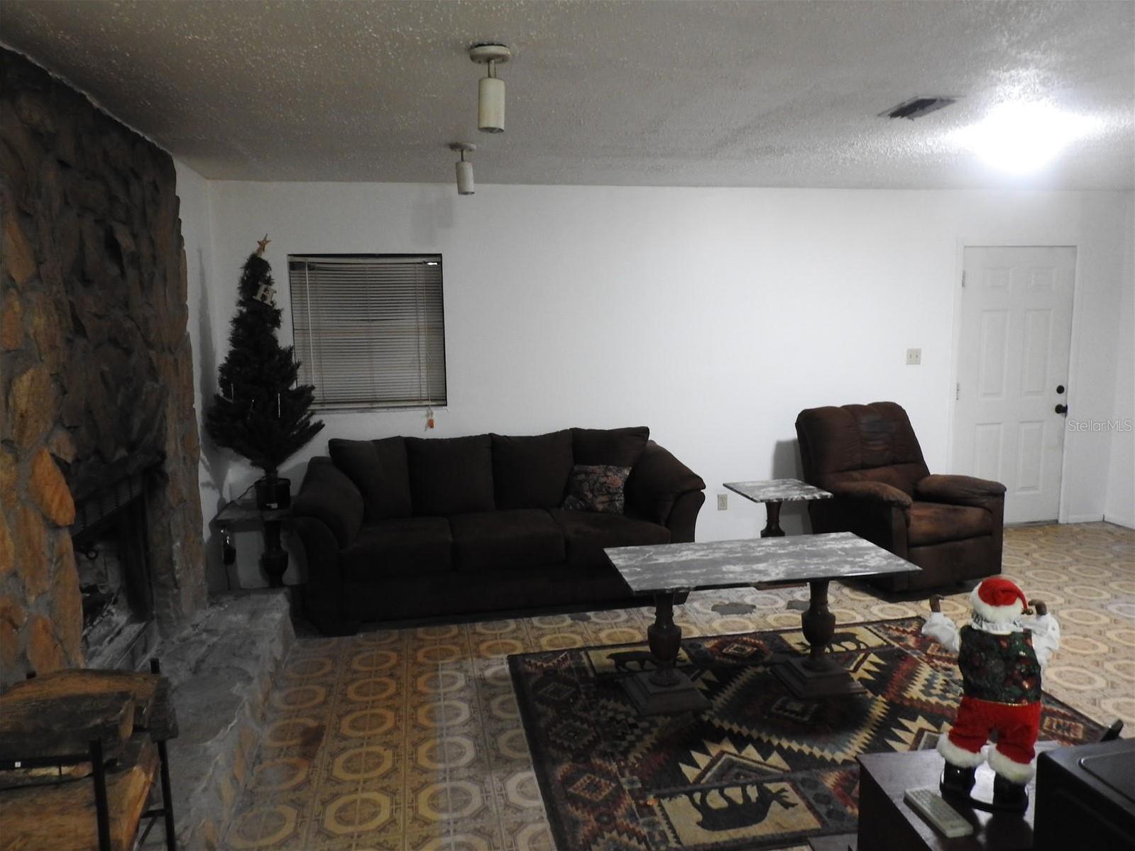 Photo #12