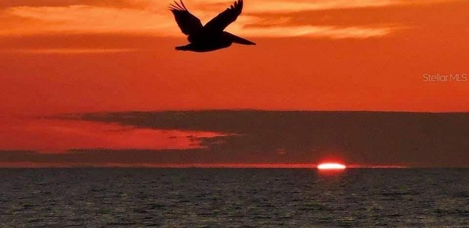Photo #45