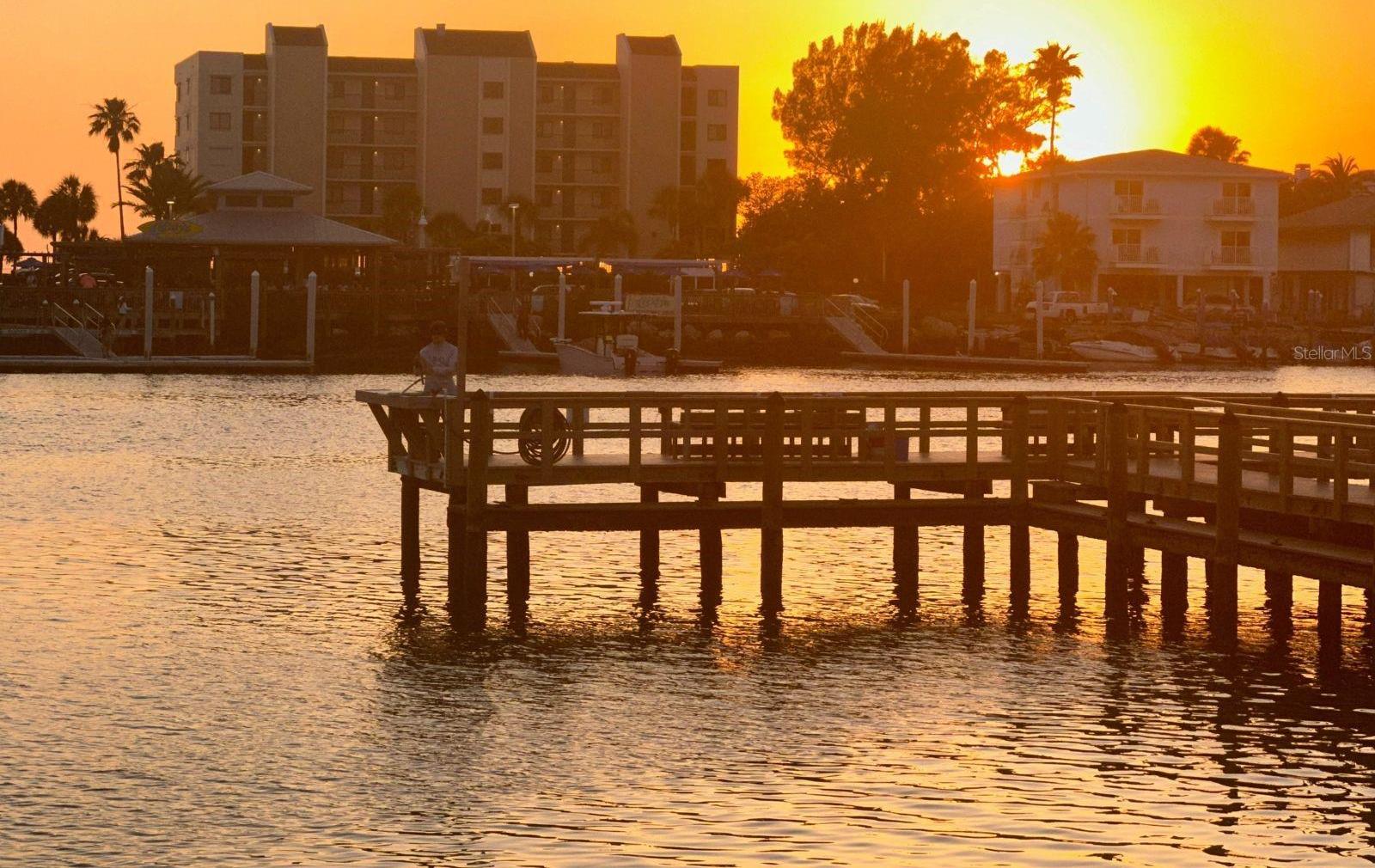 Photo #39