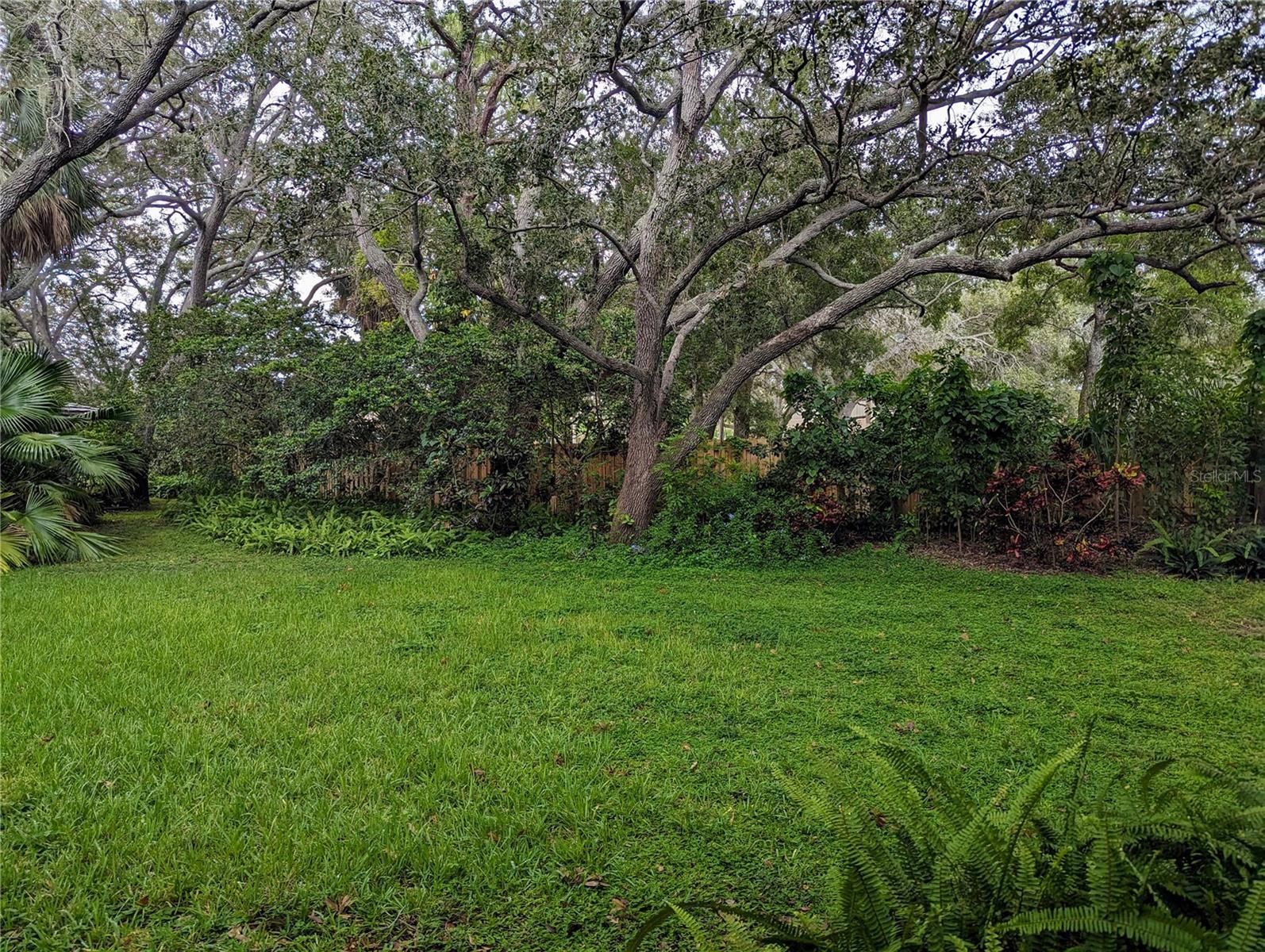 Photo #37