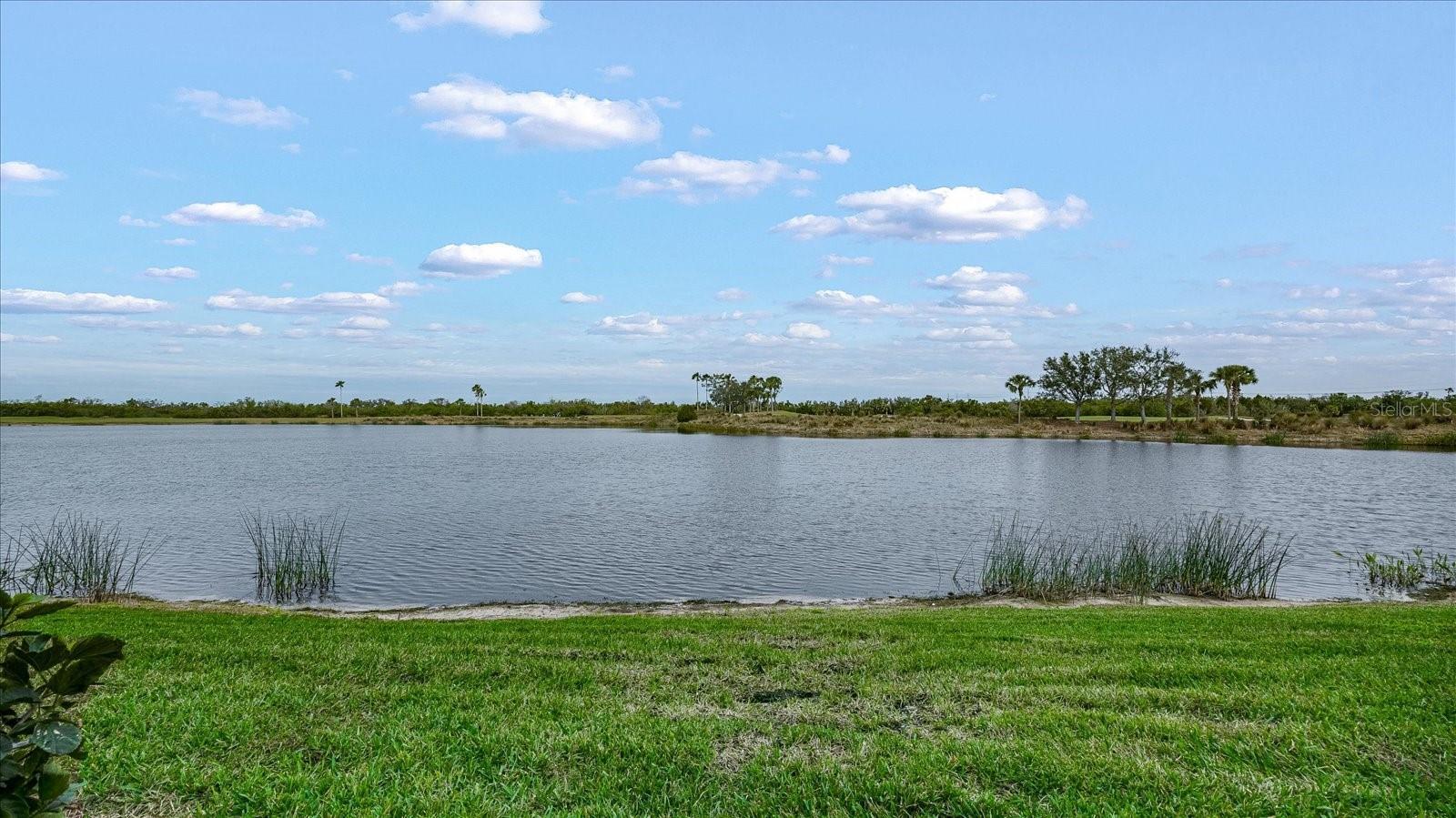 Photo #23