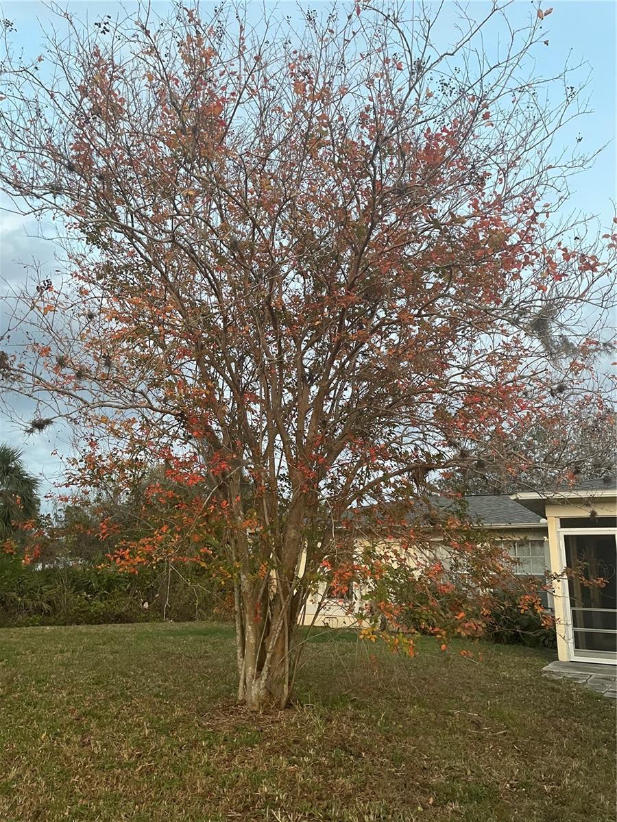 Photo #3