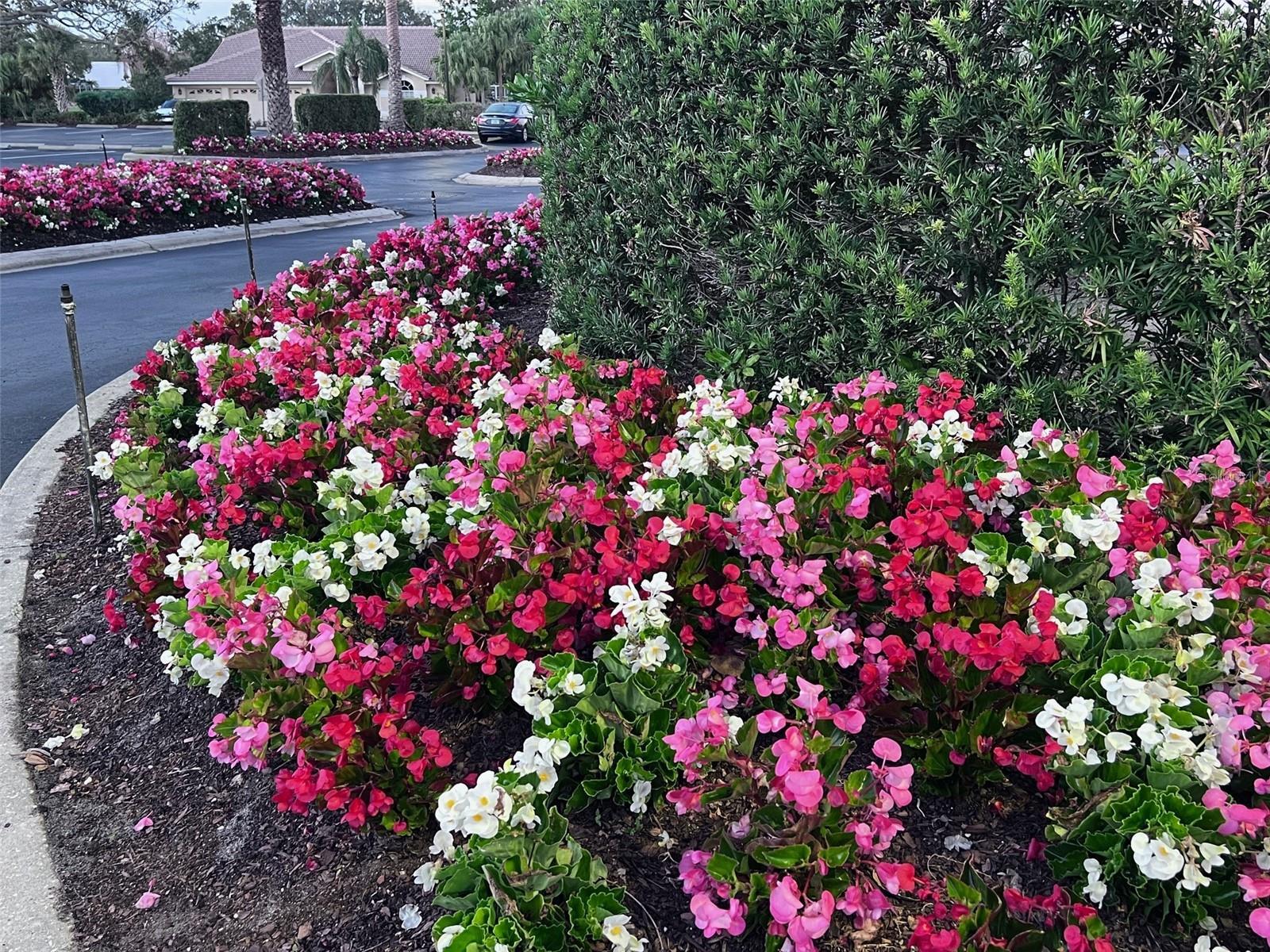 Photo #38