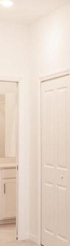 Photo #12