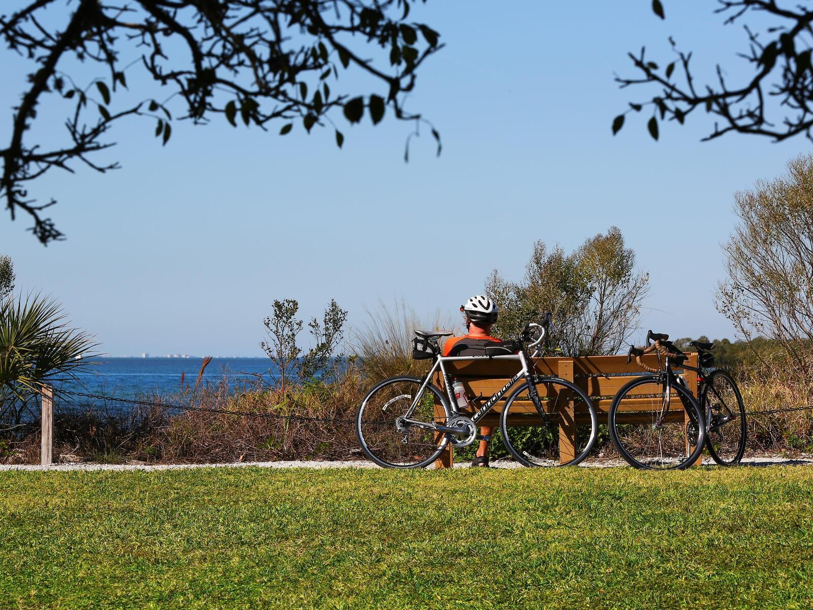 Photo #46