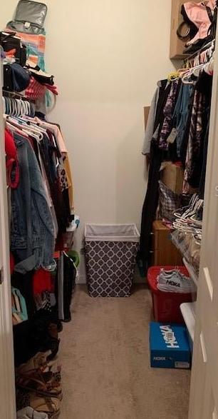 Photo #10