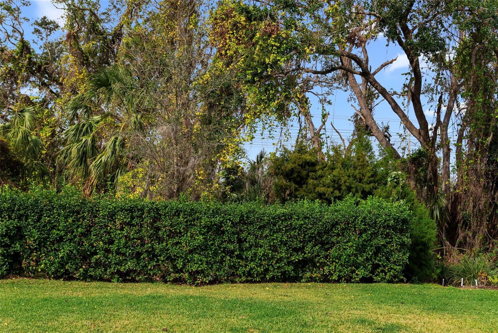 Photo #59
