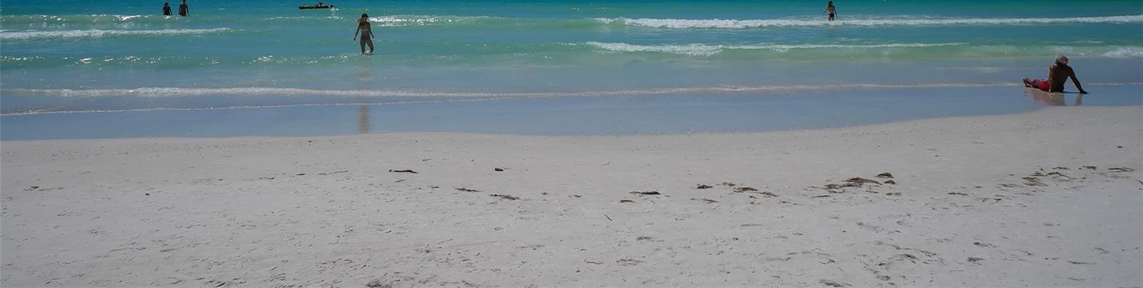 Photo #50