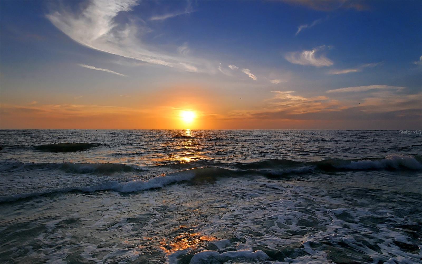 Photo #61