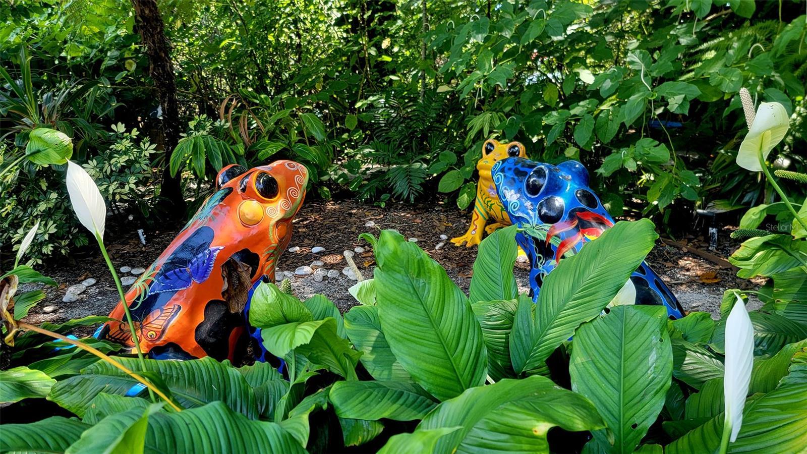 Photo #63