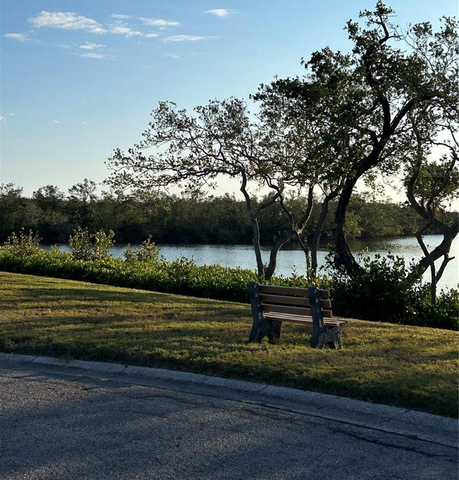 Photo #36