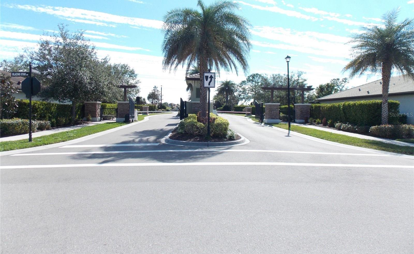 Photo #43