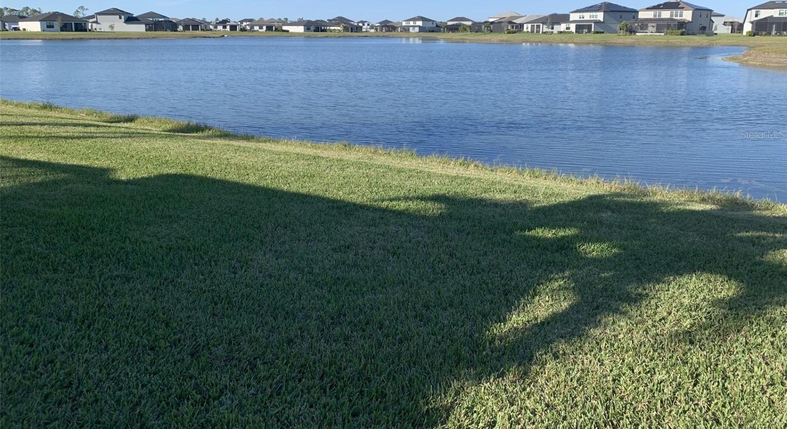 Photo #43
