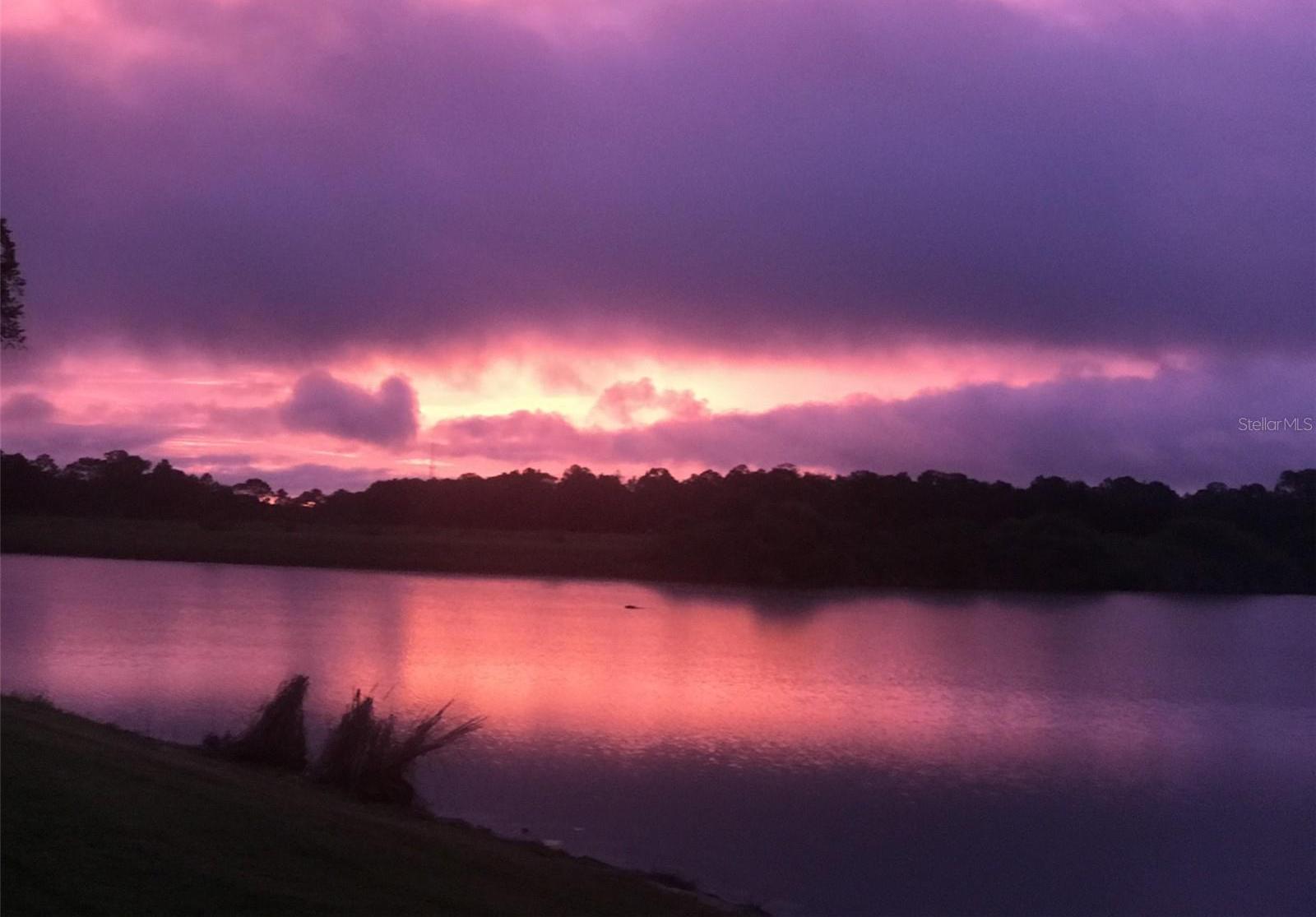 Photo #45