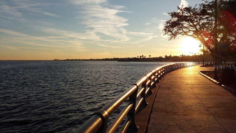 Photo #53