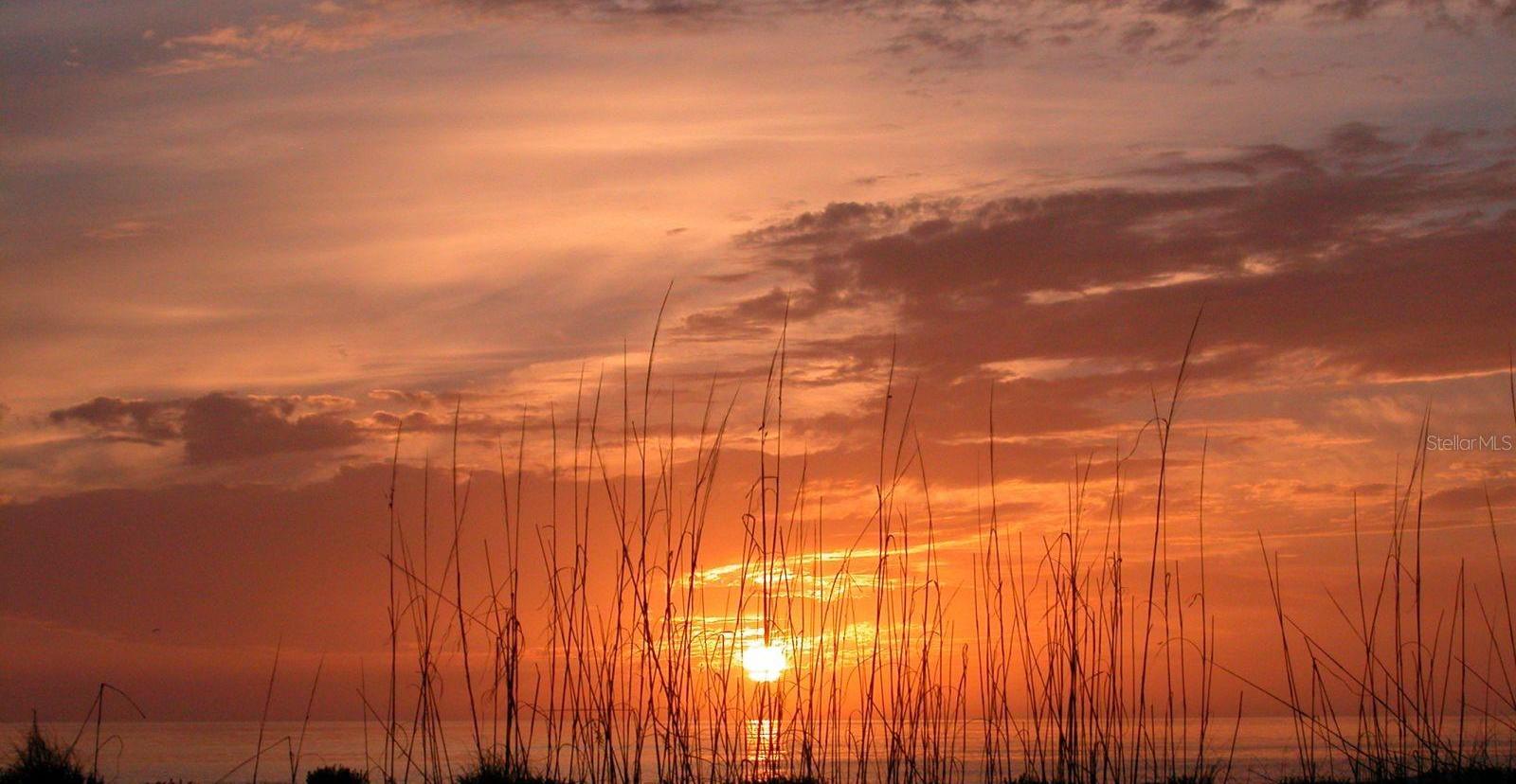 Photo #39