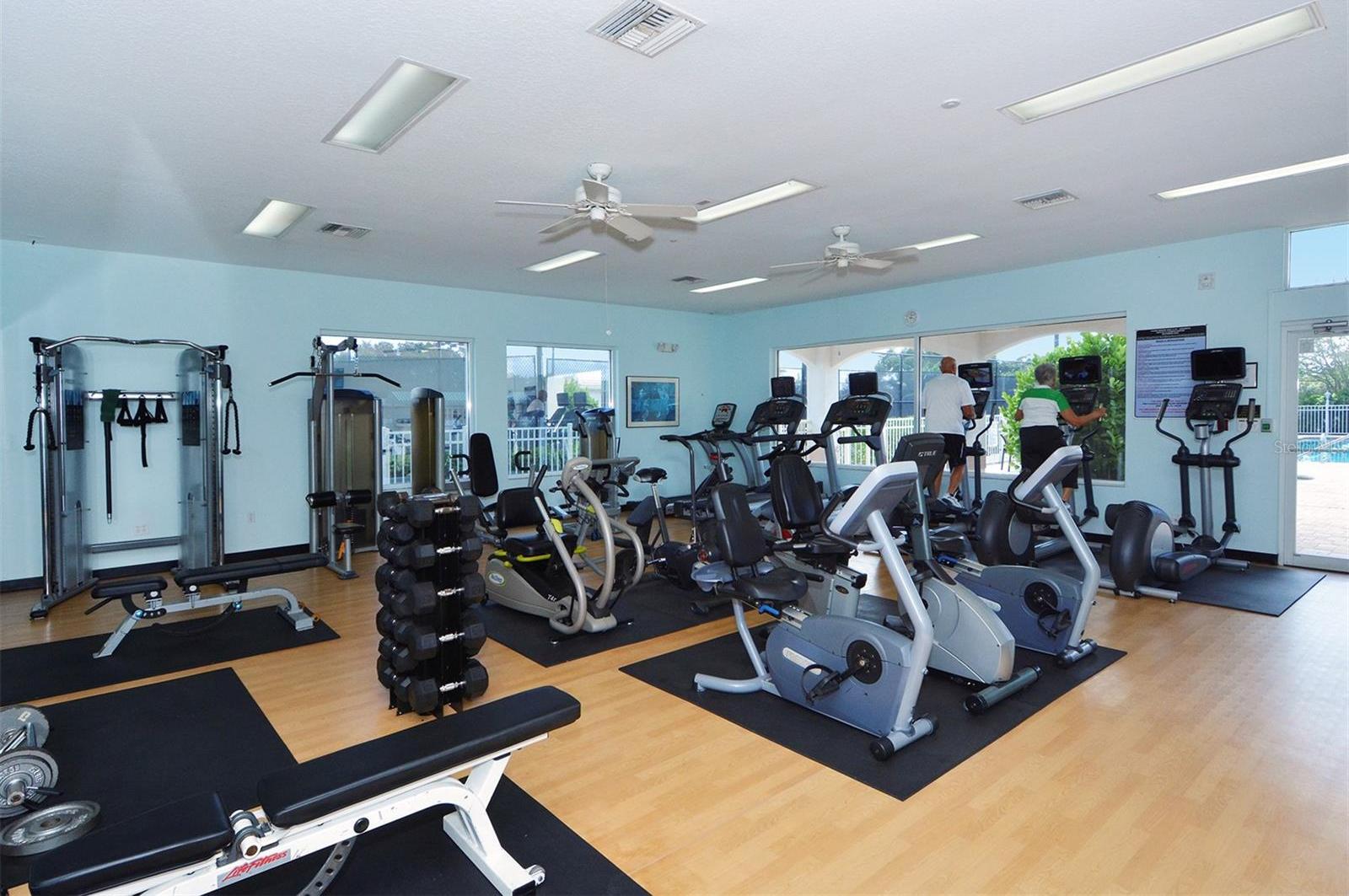 Photo #46