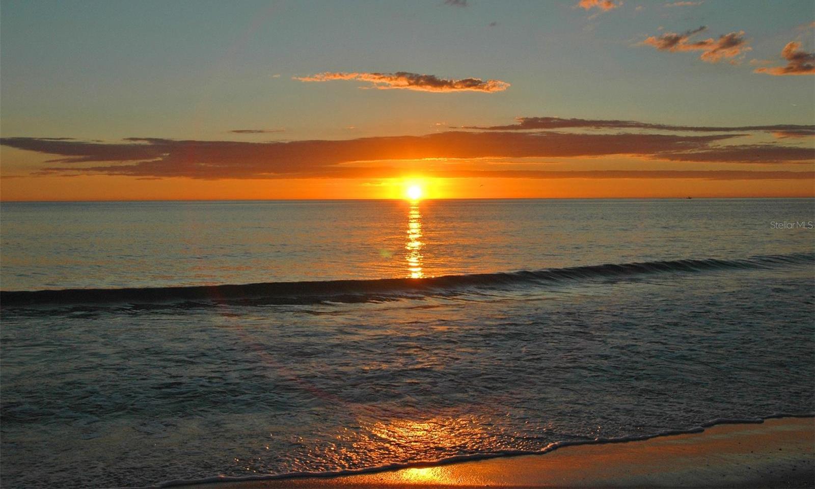 Photo #42