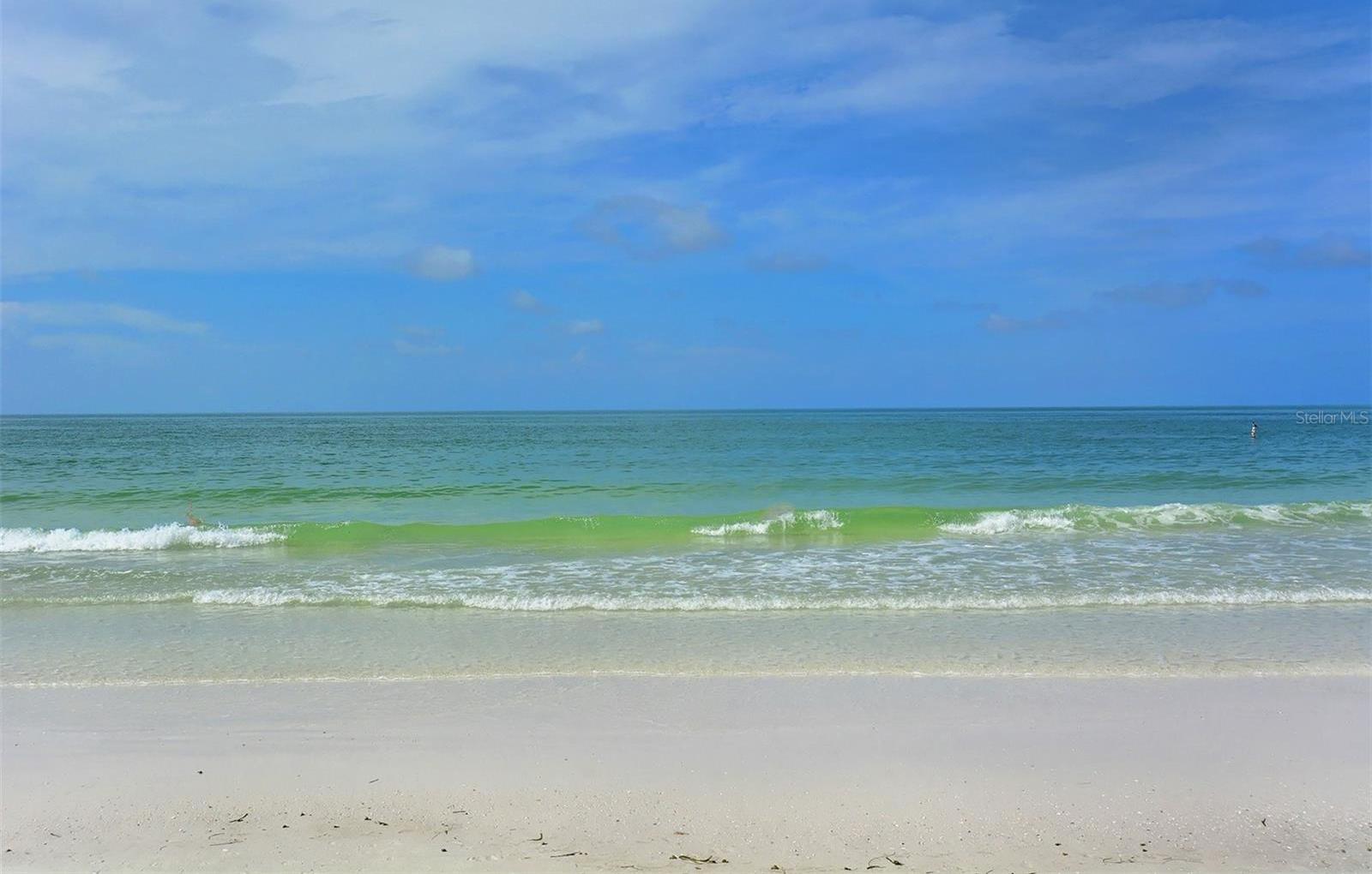 Photo #54