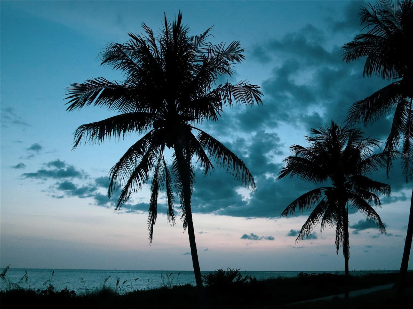 Photo #66