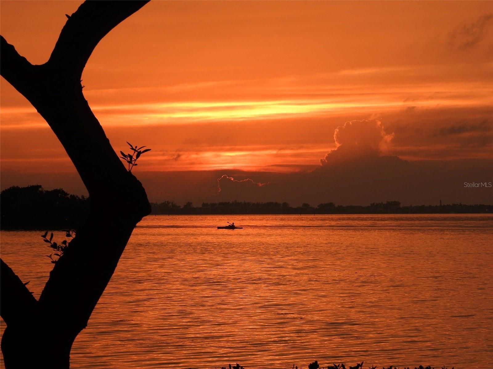 Photo #67