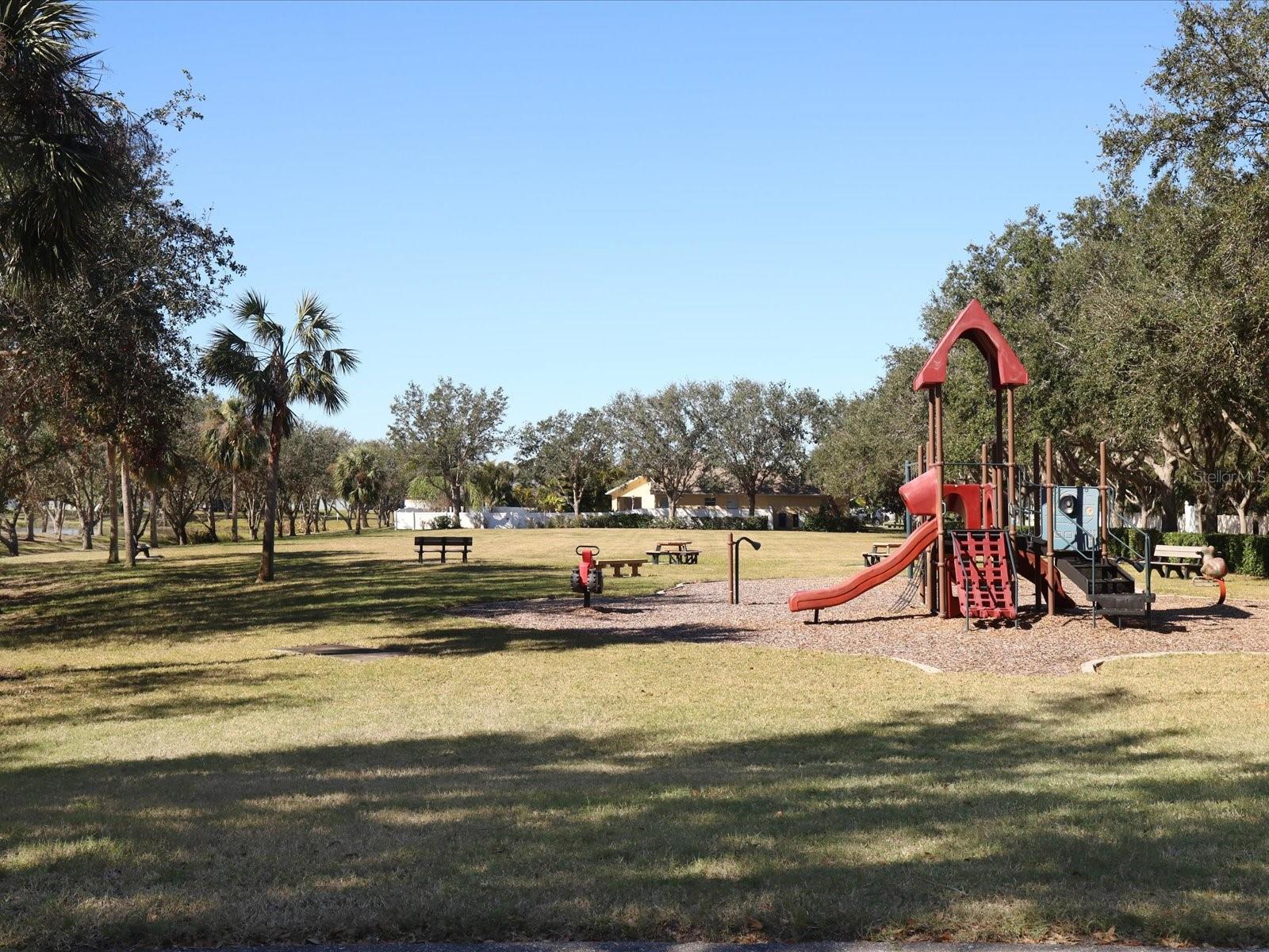 Photo #43