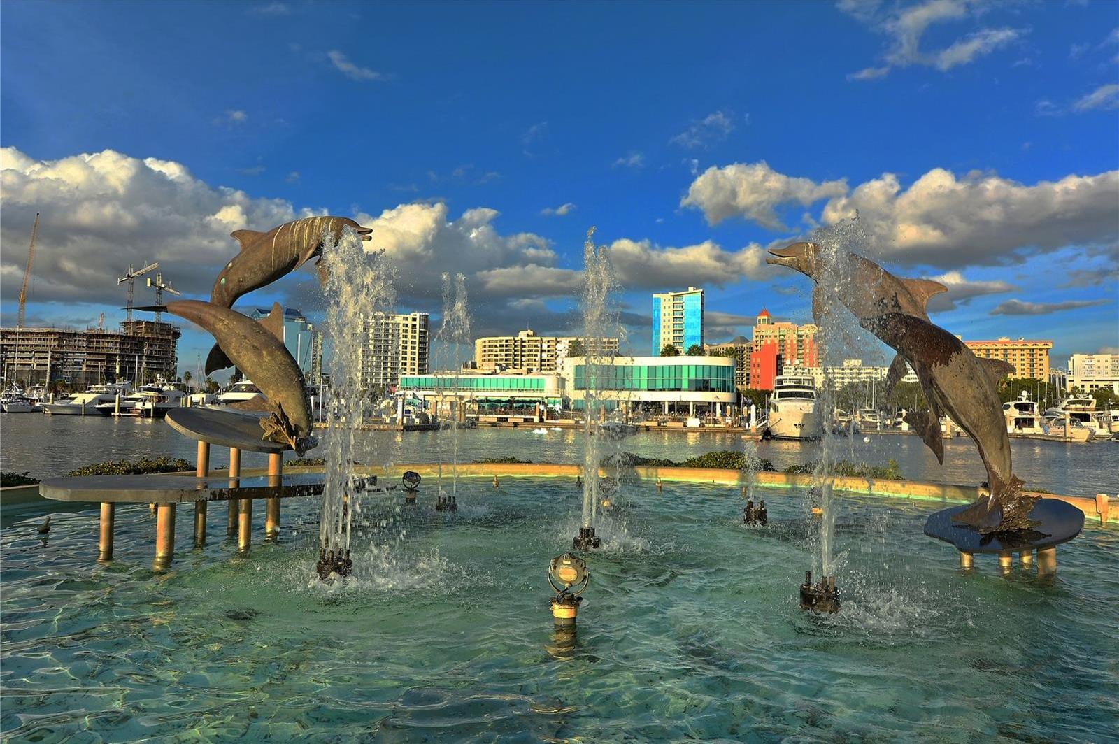 Photo #35
