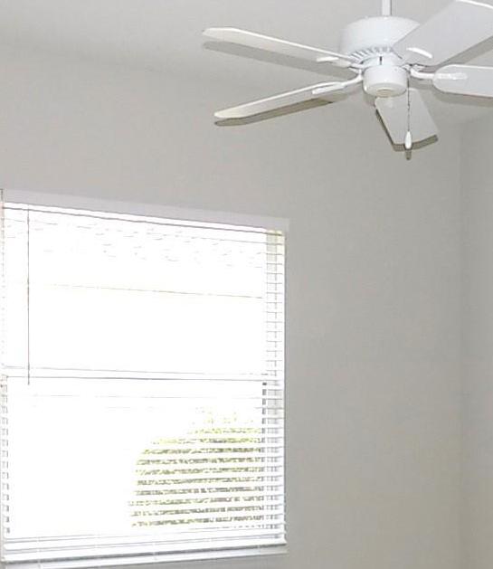 Photo #17