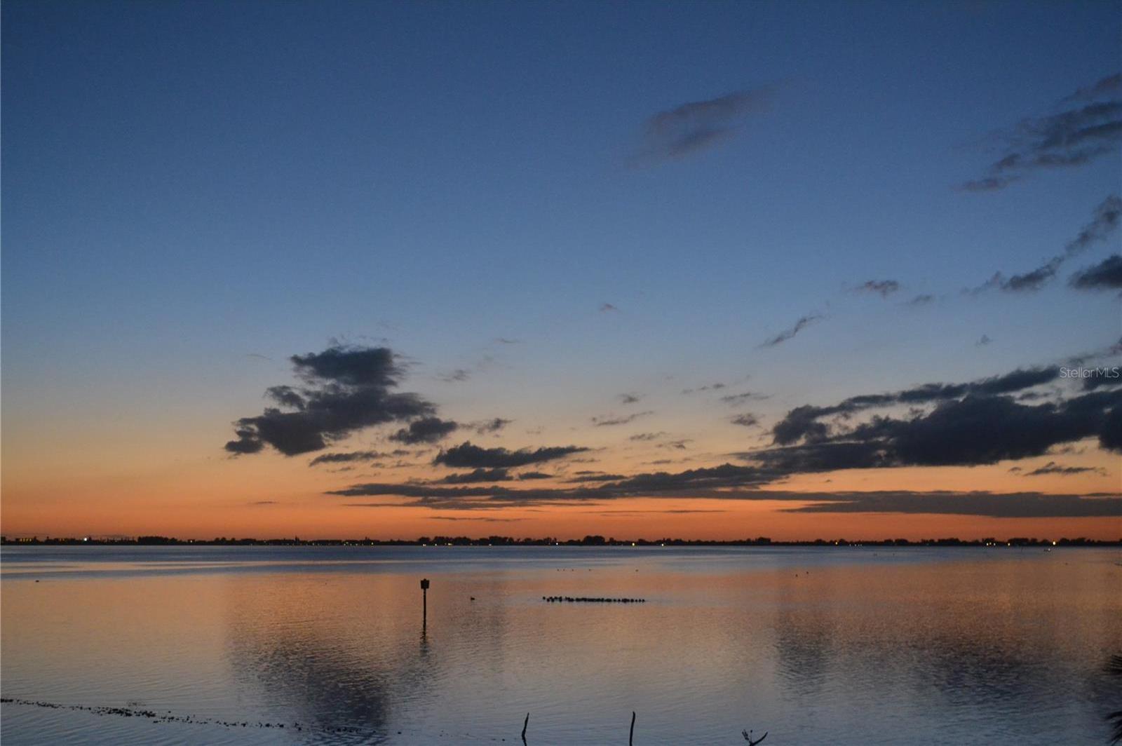 Photo #72