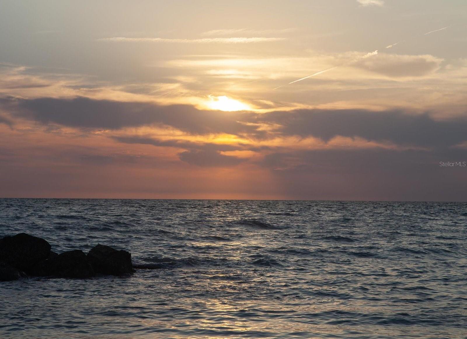 Photo #39
