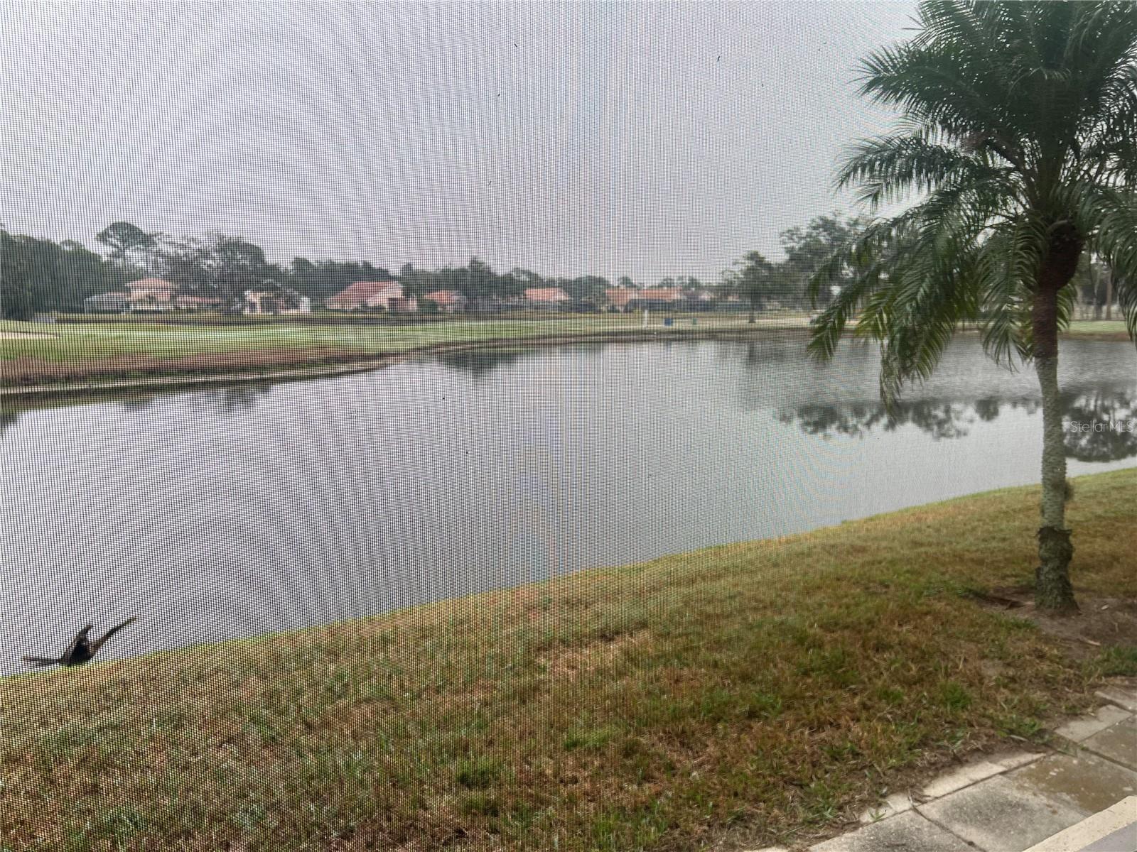 Photo #8