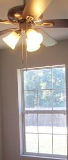 Photo #10