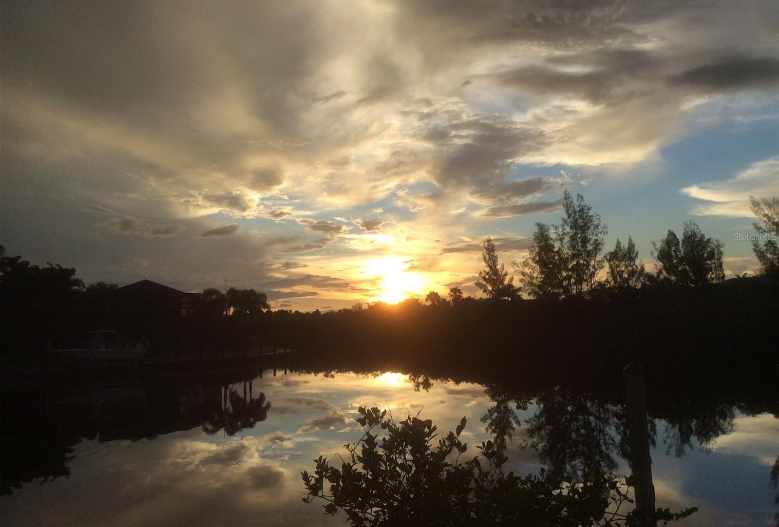 Photo #54