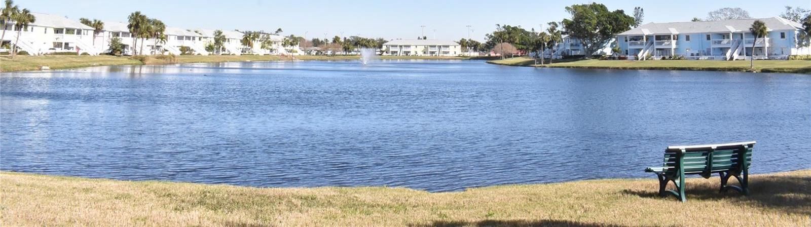 Photo #19