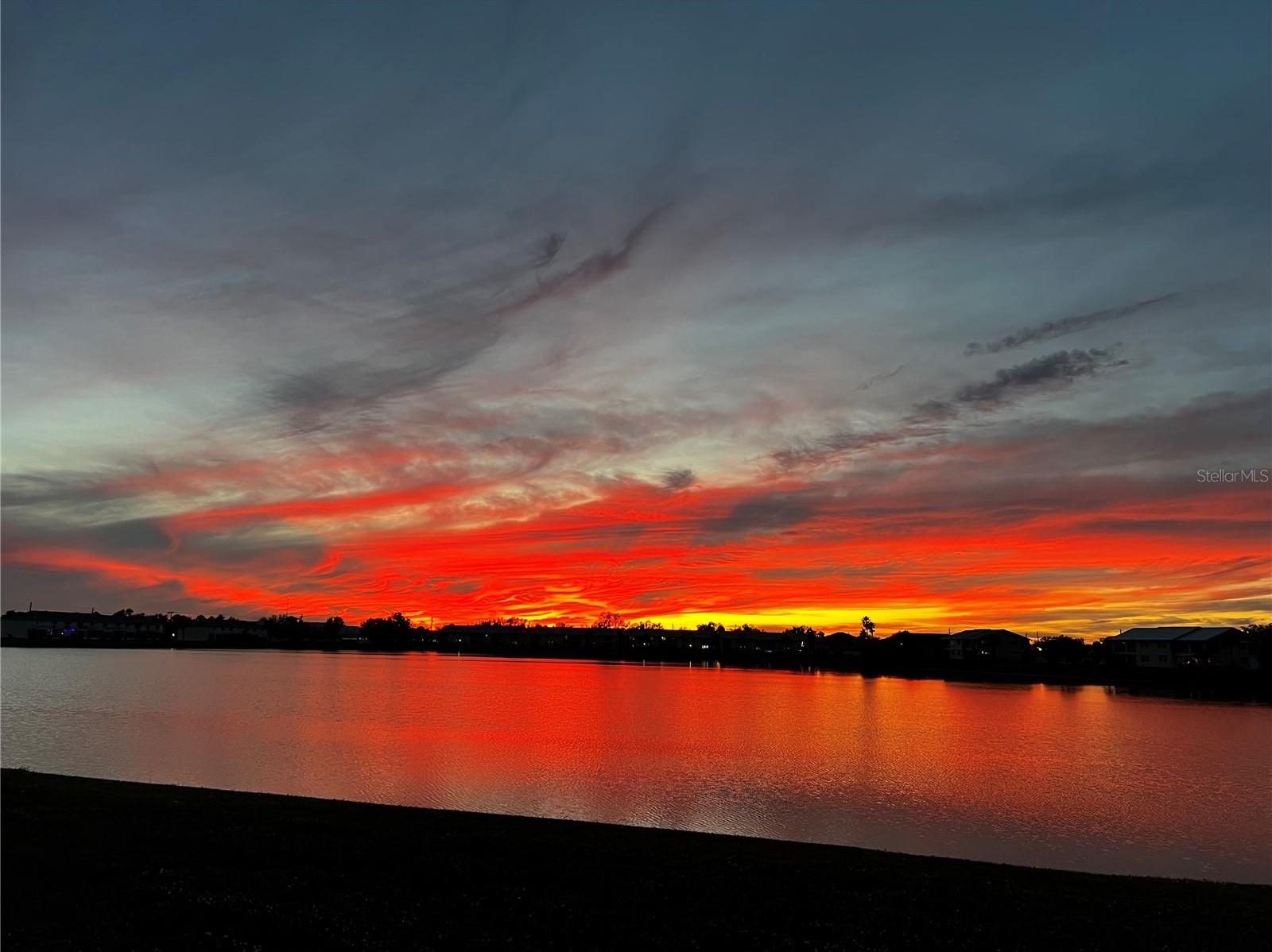 Photo #42
