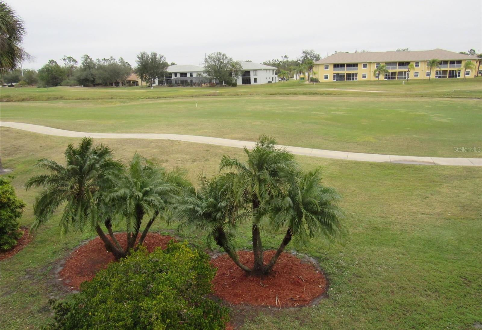 Photo #31