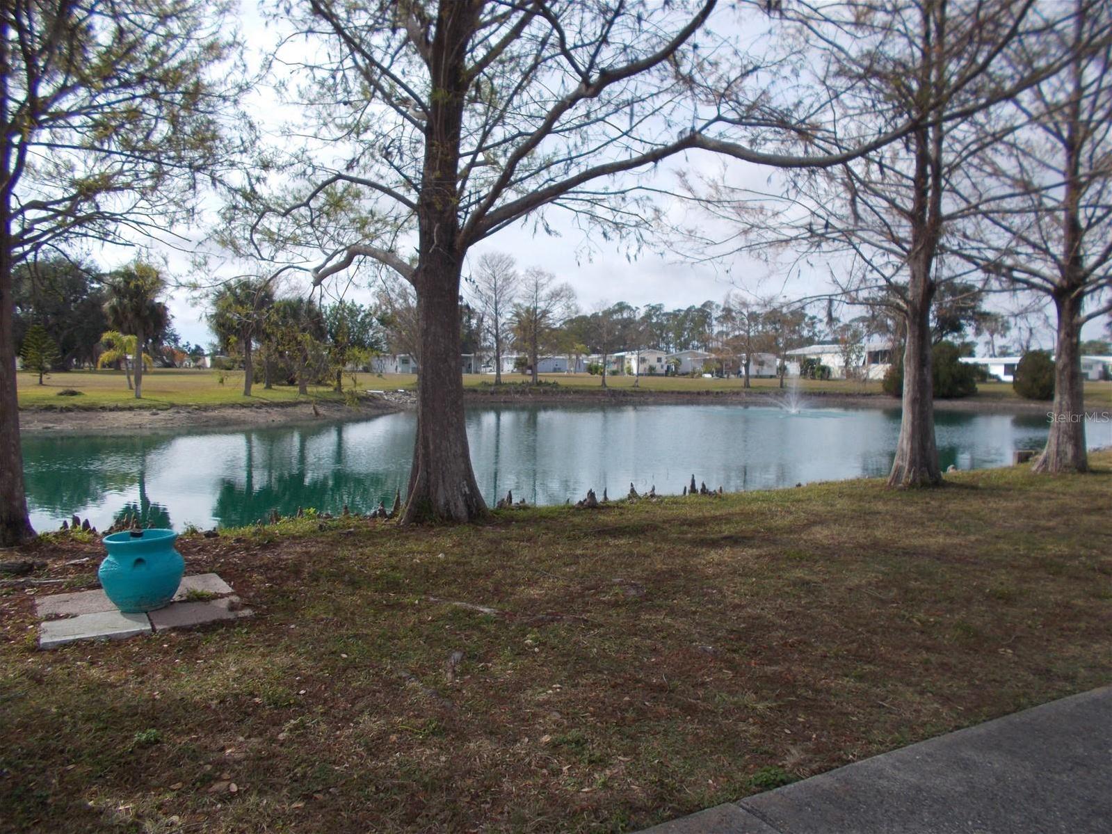 Photo #53