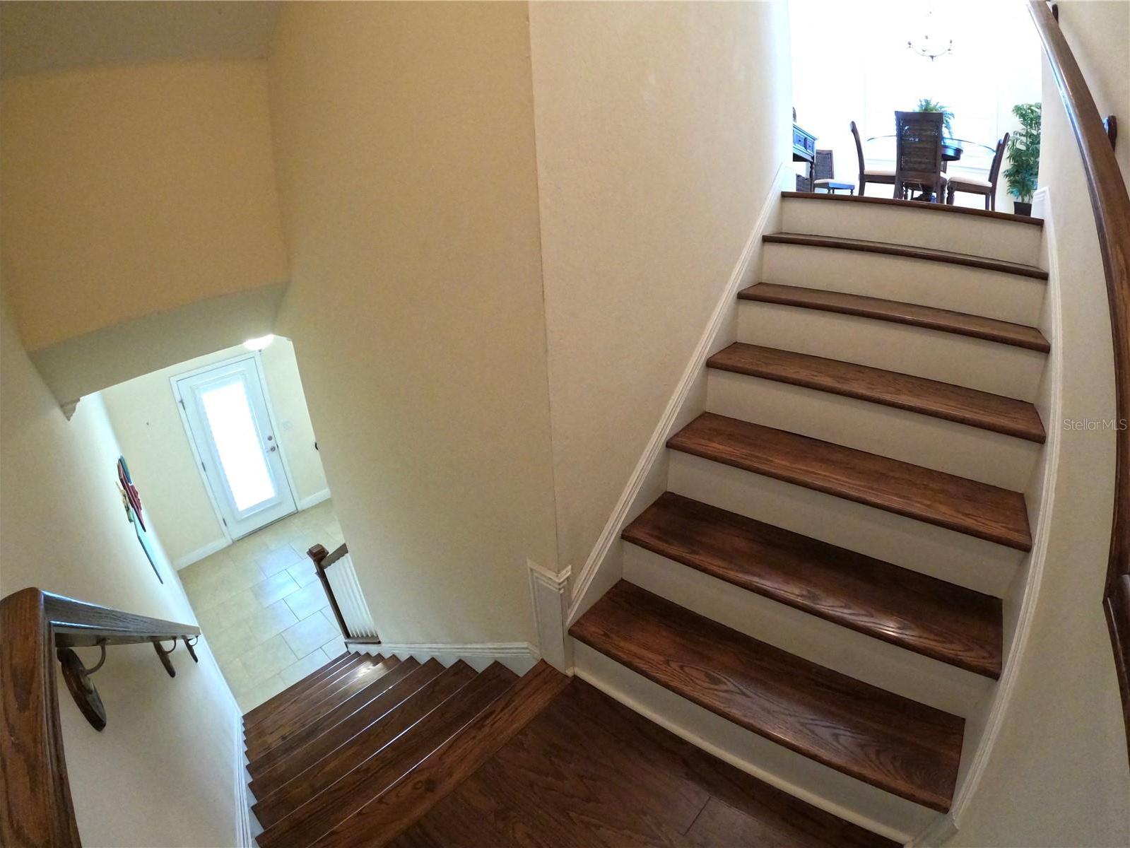 Photo #43