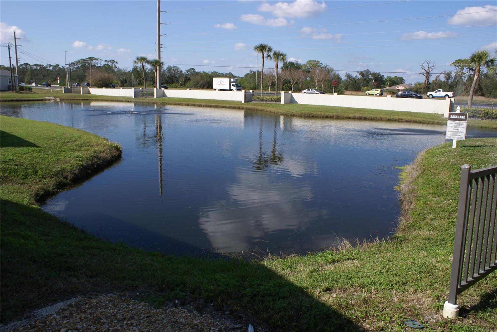 Photo #31