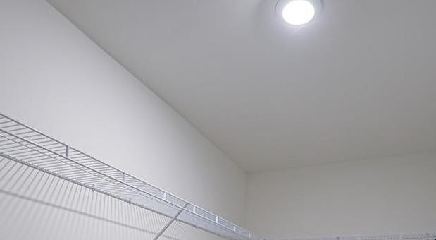 Photo #19