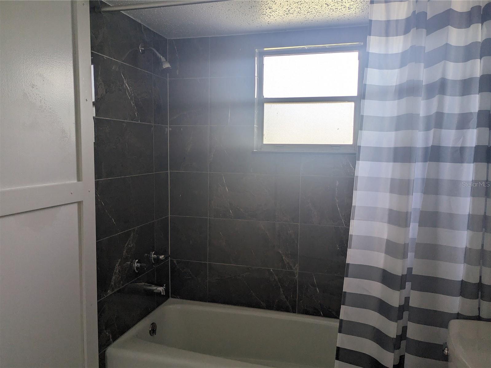 Photo #12