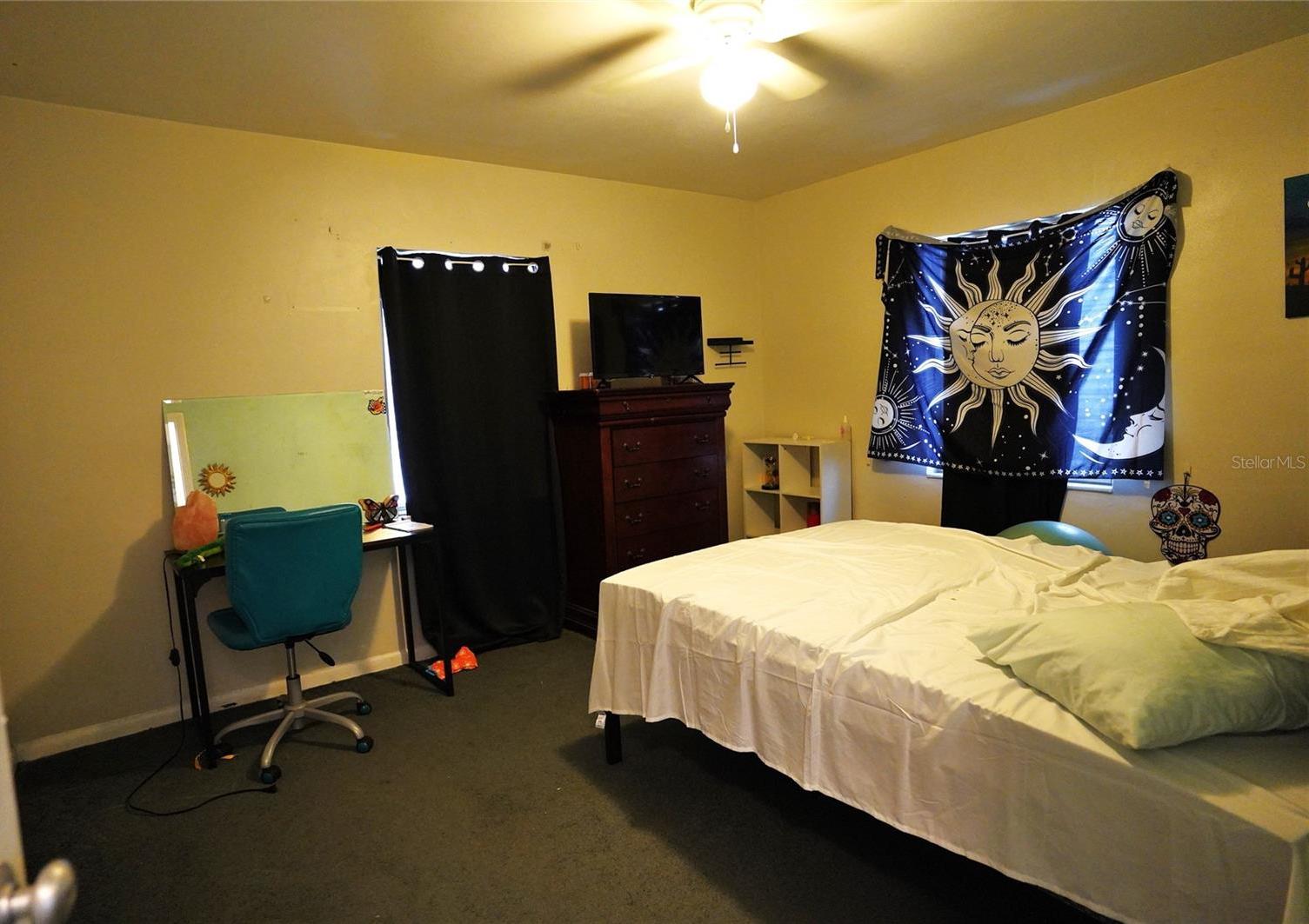 Photo #15