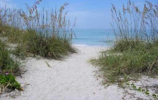 Photo #50