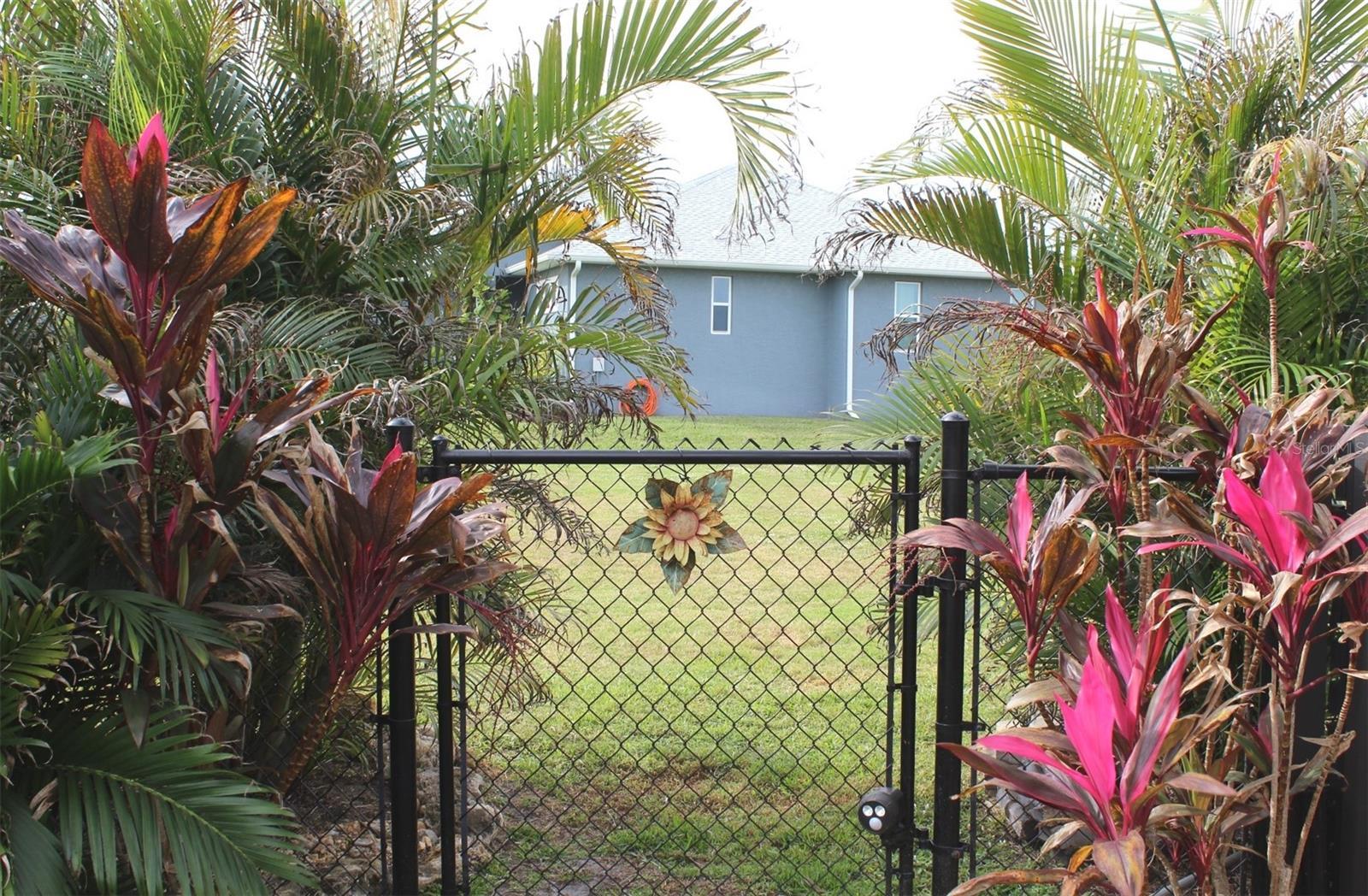 Photo #25