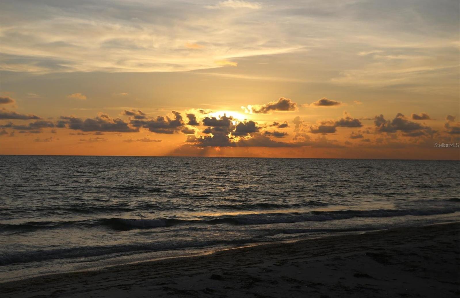 Photo #39